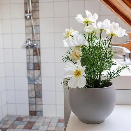 Határtalan Appartement Pilisszentivan